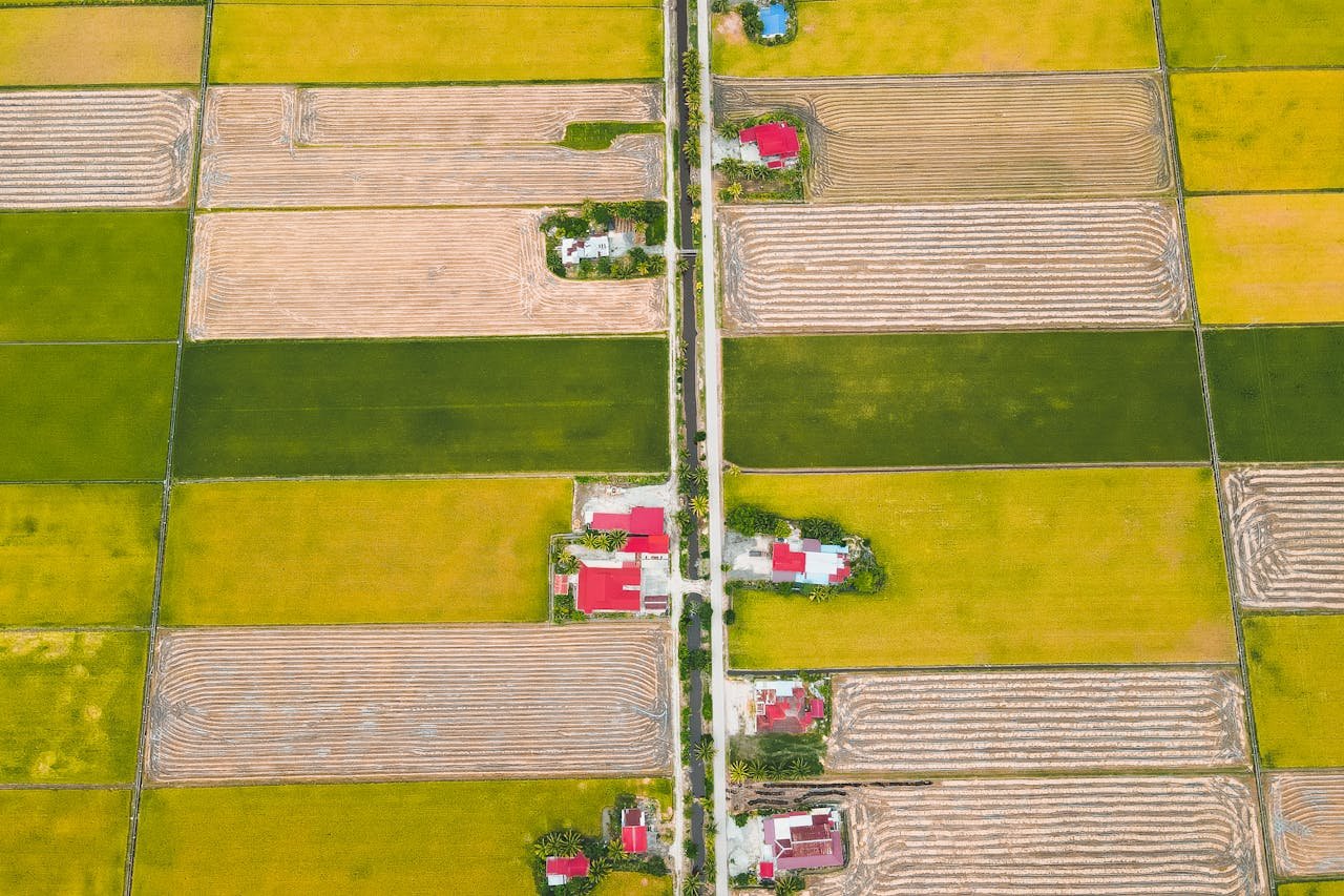 You are currently viewing Έλεγχοι του ΟΠΕΚΕΠΕ για αγροπεριβαλλοντικά και πρόγραμμα δασώσεων