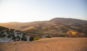 Read more about the article Όλη η διαδικασία για εισαγωγή πολλαπλασιαστικού υλικού από τρίτες χώρες