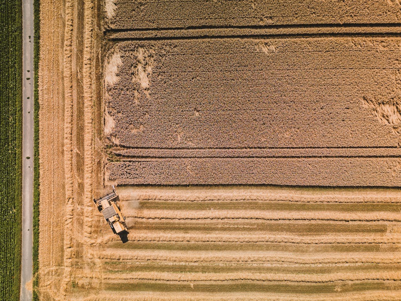 Read more about the article Συλλήψεις για παράνομες αγροτικές επιδοτήσεις και κατασχέσεις εκατ. ευρώ