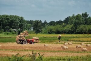 Read more about the article Πλήρης επιβεβαίωση Agronewsbomb, αυτά τα μέτρα ανακοινώνει η κυβέρνηση