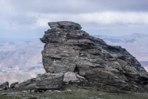 Read more about the article “Να ενταχθούν και οι κτηνοτρόφοι της Ξάνθης στην αύξημενη αποζημίωση 8 ευρώ ανά ζώο”