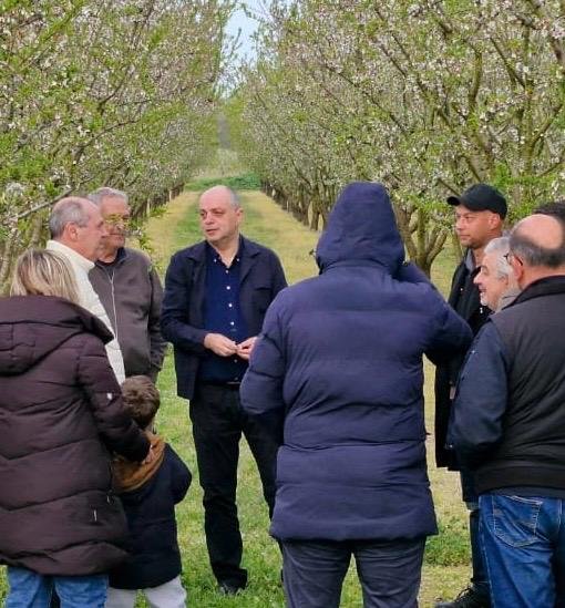 Read more about the article Στήριξη για όλους τους αμυγδαλοπαραγωγούς Λάρισας ζητά ο Καπετάνος