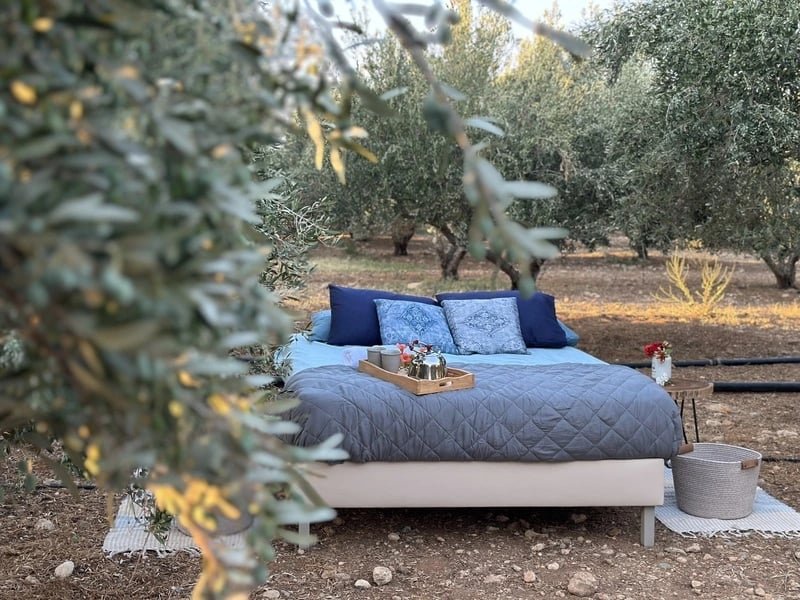 Read more about the article Τώρα νοικιάζουν κρεβάτι… μέσα στα λιοστάσια