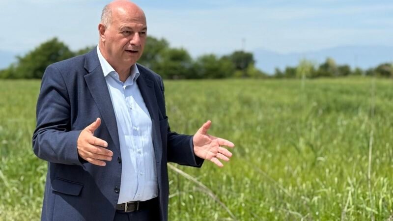Καθυστέρηση της τάξης του ενάμιση μήνα στις πληρωμές "βλέπει" ο Τσιάρας