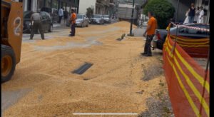 Read more about the article Γέμισε ο δρόμος… καλαμπόκια στην Αμφιλοχία