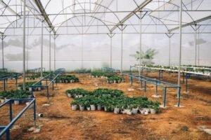 Read more about the article Παράταση προθεσμίας για σχέδια βελτίωσης, δείτε τι αφορά