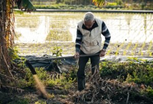 Read more about the article Εγκύκλιος ΥπΑΑΤ για το Μητρώο Αγροτών