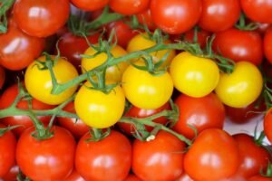 Read more about the article Με +24,3% “τρέχουν” οι εξαγωγές ντομάτας