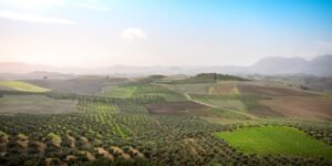 Read more about the article Θερμική “βόμβα” στην Ισπανία, θερμοκρασίες έως 45 βαθμούς Κελσίου