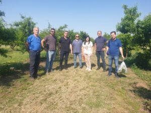 Read more about the article Επιτόπιοι έλεγχοι για το φαινόμενο παραμόρφωσης στα ροδάκινα