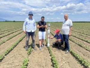 Read more about the article Aπό την παραδοσιακή στην τεχνολογική γεωργία για στήριξη της βιωσιμότητας βαμβακοκαλλιέργειας