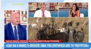 Read more about the article Τσιάρας για ΟΠΕΚΕΠΕ: Όλες οι καταγγελίες που έχουν φτάσει στο υπουργείο έχουν διαβιβαστεί στην Ευρωπαϊκή Εισαγγελία