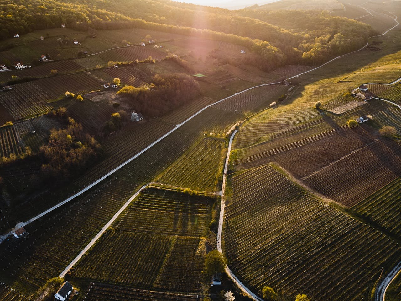 Read more about the article Έως 8/12 διορθώσεις monitoring σε χωράφια με αγρανάπαυση, κοφτολίβαδα για να τρέξει πληρωμή