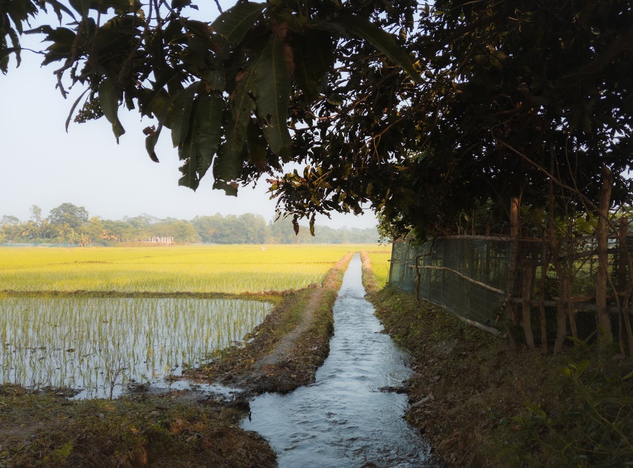 Read more about the article Ημαθία: Οι τελευταίες εξελίξεις για άρδευση, αποζημιώσεις, πληρωμές