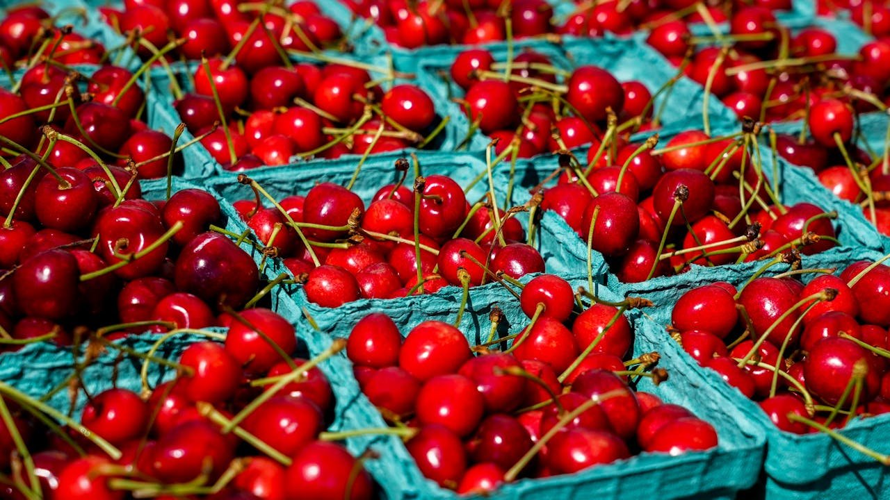 Read more about the article Κατάρρευση στην παραγωγή κερασιών Πολωνίας