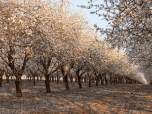 Read more about the article Αλλαγές στους ελέγχους για το “Κομφούζιο”