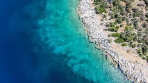 Read more about the article Αναρτήθηκαν τα ονόματα των δικαιούχων των προγραμμάτων του ΛΑΕ/ΟΠΕΚΑ