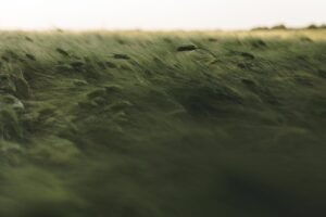 Read more about the article Αισθητή πτώση θερμοκρασίας και ισχυρούς ανέμους προβλέπει η ΕΜΥ