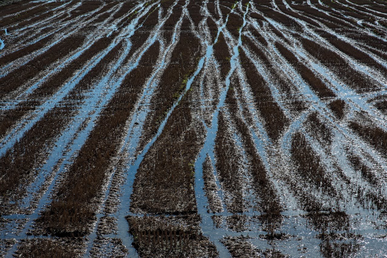 Read more about the article Εκδήλωση για τη βέλτιστη χρήση νερού στην Κρήτη