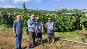 Read more about the article Καθοριστική για την καλή ανάπτυξη της ακτινιδιάς η “Φυλλοδιαγνωστική” ανάλυση