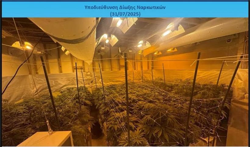 Read more about the article Εξαρθρώθηκε εγκληματική οργάνωση για υδροπονική καλλιέργεια δενδρυλλίων κάνναβης