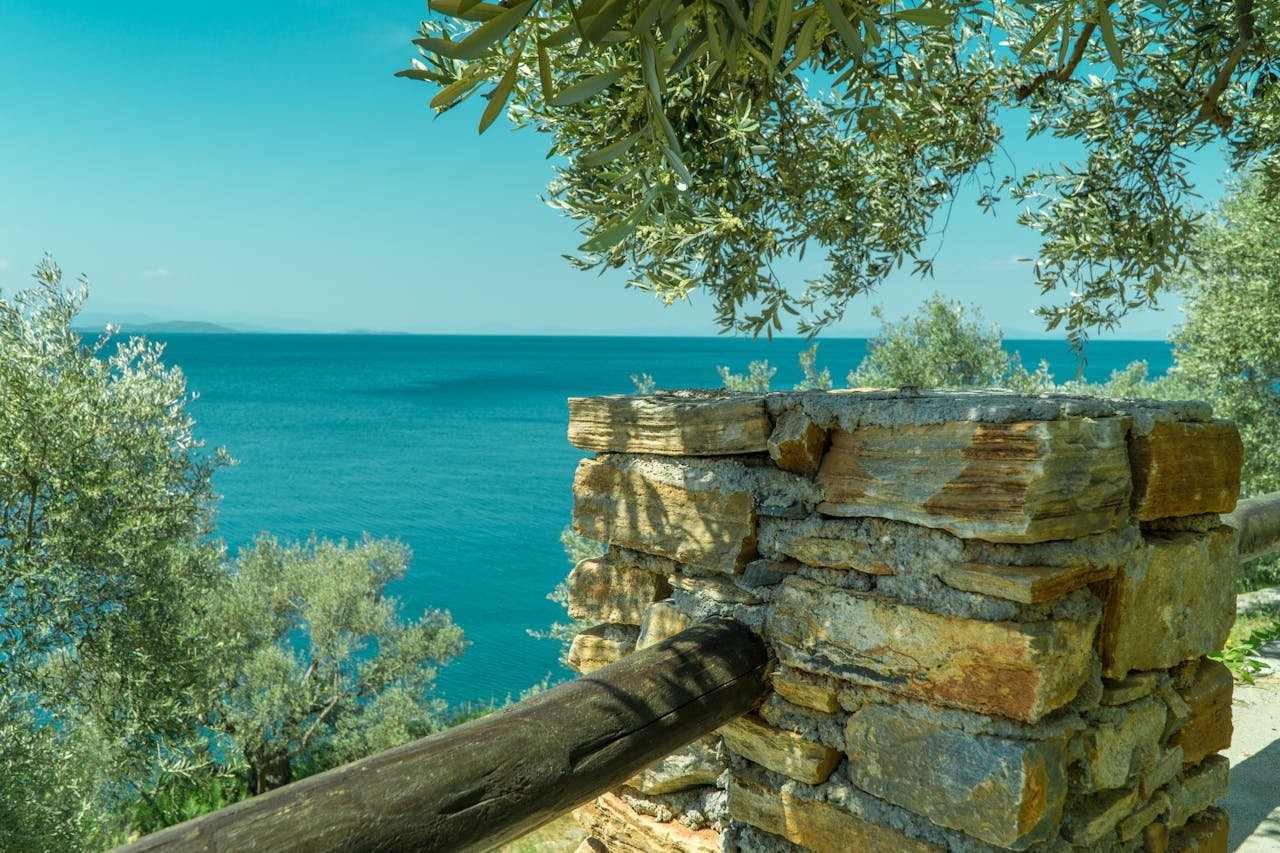 You are currently viewing Έτσι θα βγάλετε λεφτά από τα φύλλα ελιάς