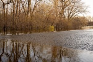 Read more about the article Κόκκαλης: Απλήρωτες δυο χρόνια αποζημιώσεις δενδροκαλλιεργητών