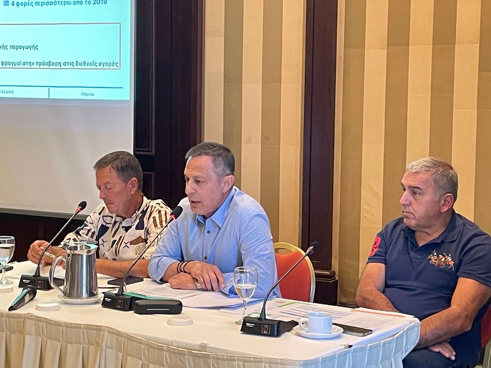 Read more about the article Μειωμένη παραγωγή βρώσιμης ελιάς τη νέα χρονιά και νέο ιστορικό ρεκόρ στις εξαγωγές το 2024