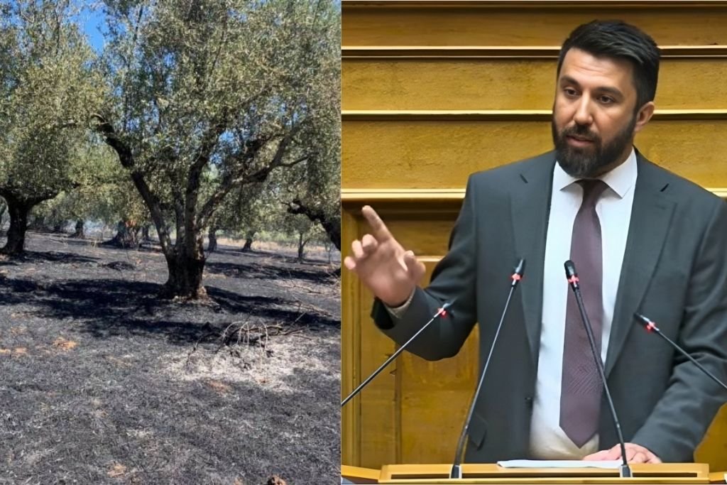 You are currently viewing Απλήρωτοι ελαιοπαραγωγοί για ζημιές από φωτιές του… 2023