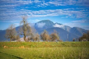 Read more about the article Σπίτια, χωράφια, αποθήκες: Κύμα πλειστηριασμών για χρέη μέχρι το τέλος του έτους