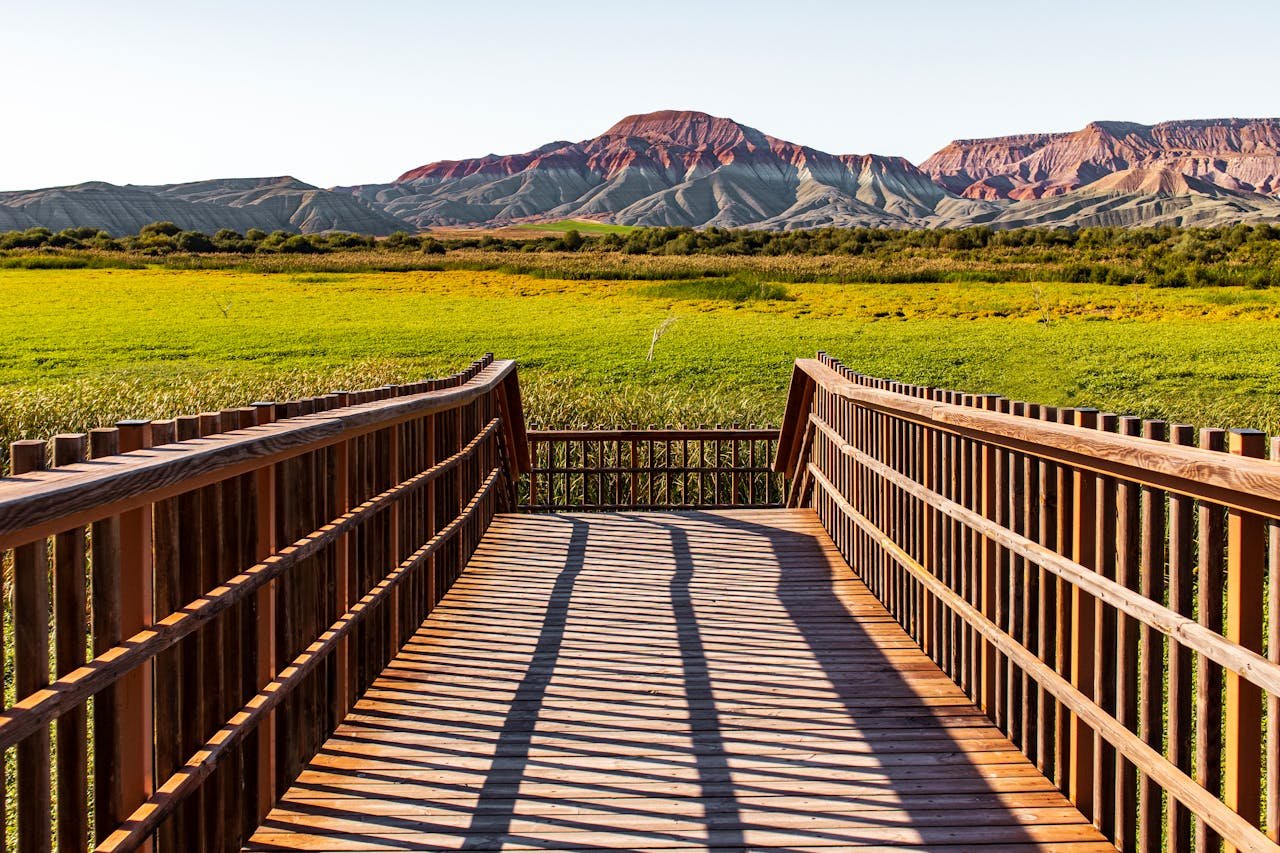 Read more about the article Άδεια χρήσης μη βιολογικού σπόρου