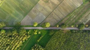 Read more about the article Στην ΕΕ το action plan 2 για το ΟΣΔΕ, σαρωτικοί έλεγχοι για τις επιδοτήσεις