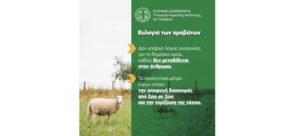 Read more about the article Ενημερωτικό για την ευλογιά των προβάτων