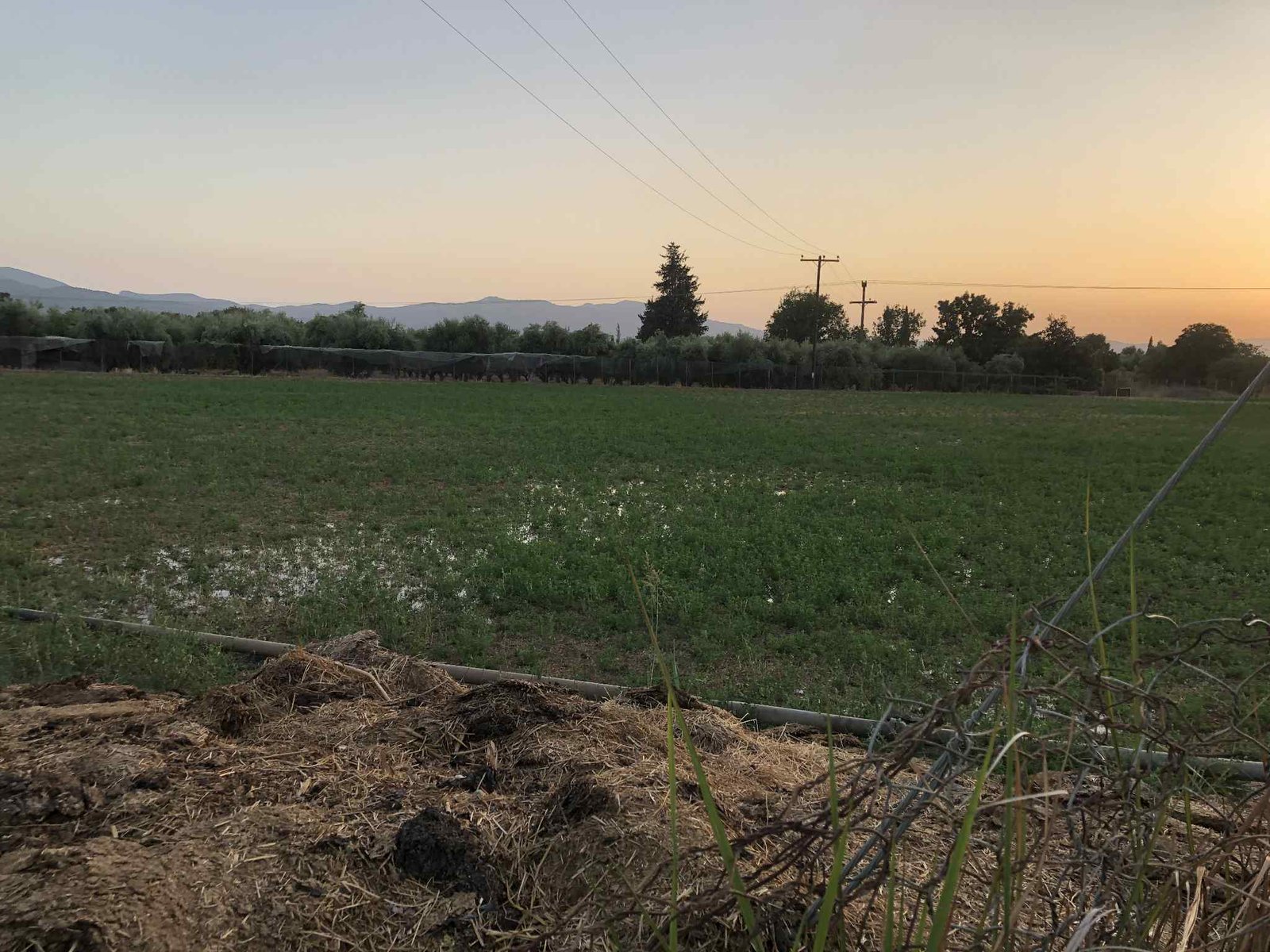 Read more about the article Πέντε συλλήψεις για παραβίαση των μέτρων πρόληψης της ευλογιάς