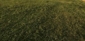 Read more about the article Αλλαγές στην απόφαση για τα de minimis μηδικής