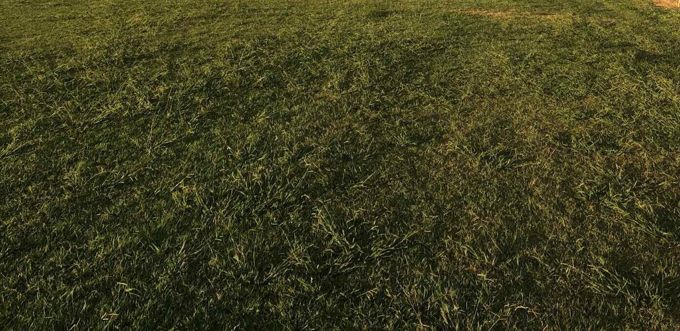 Read more about the article Μέχρι και 95 ευρώ/στρέμμα μπορεί να φτάσουν τα de minimis τριφυλλιών