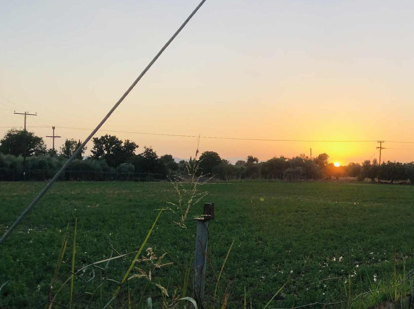 Read more about the article Πότε πληρώνονται τα de minimis στα τριφύλλια, περιοχές σε “κόκκινη” και “πορτοκαλί” ζώνη