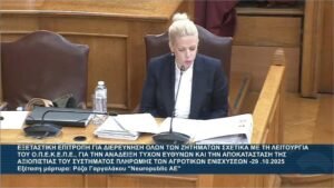 Read more about the article Ρόζα Γαργαλάκου: Οι καθυστερήσεις στις πληρωμές δεν σχετίζονται με τα δικά μας παραδοτέα