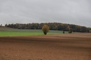 Read more about the article ΠΑΣΟΚ για εκκρεμότητες πληρωμών αγροτών