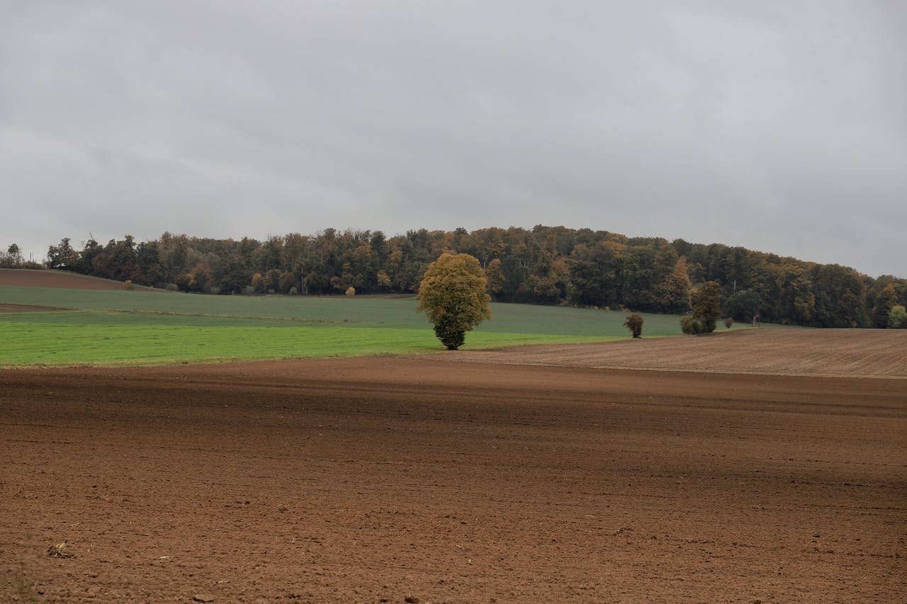 Read more about the article Στήριξη συνδεδεμένου εισοδήματος για την παραγωγή σπόρων προς σπορά