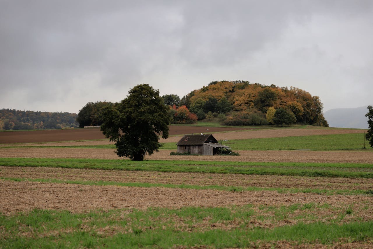 Read more about the article Τι προβλέπει ο νέος ΚΟΚ για το κλείσιμο δρόμων, “καρότο και μαστίγιο” από την κυβέρνηση