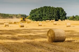 Read more about the article Πιστώθηκαν χρήματα και για επιστροφή ΕΦΚ πετρελαίου