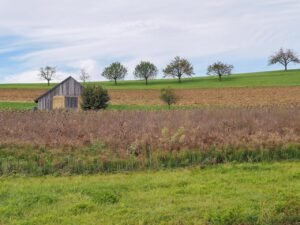 Read more about the article Παρασκευή κι από βδομάδα οι πληρωμές των νέων βιολογικών