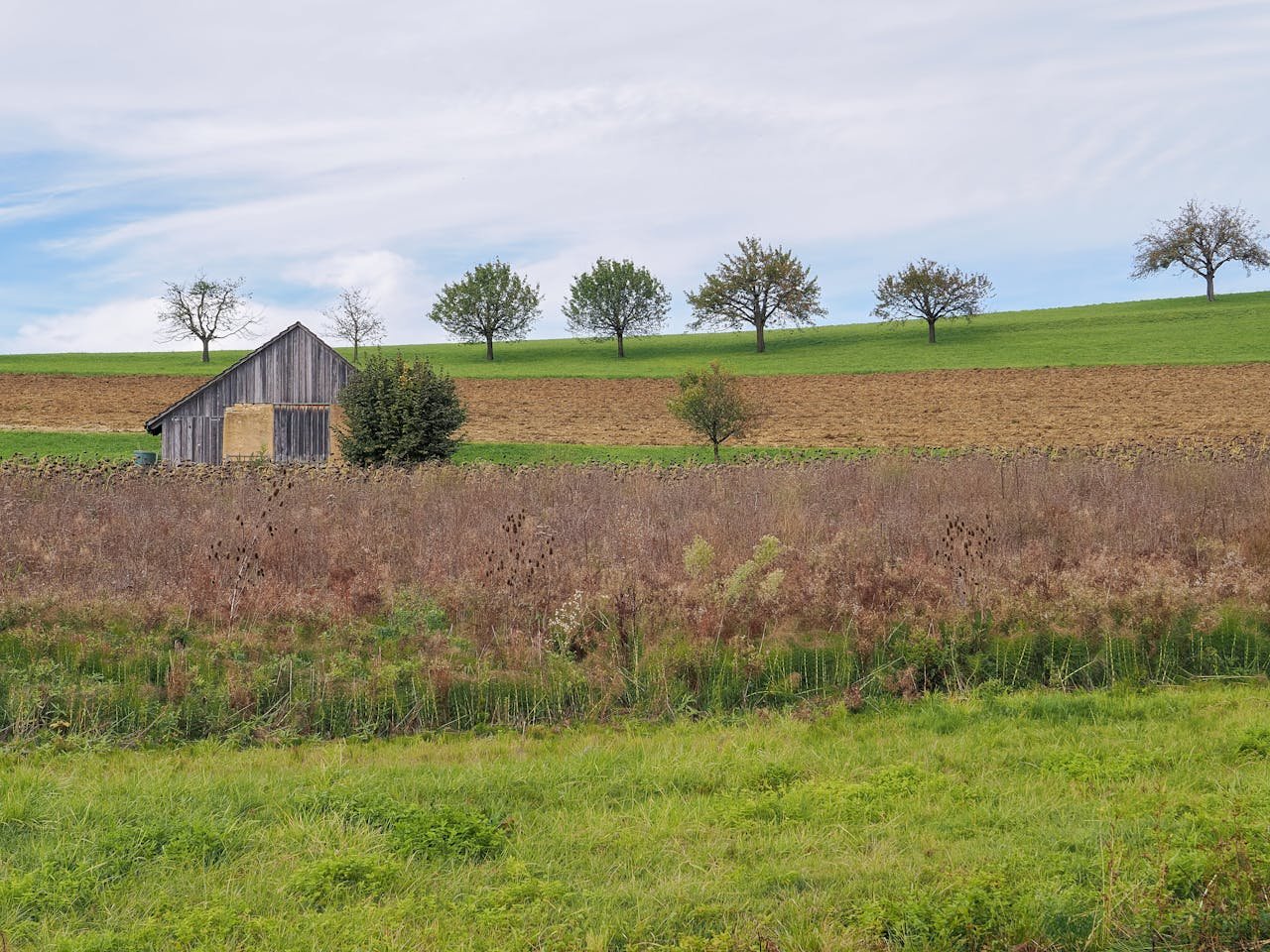 Read more about the article Παρασκευή κι από βδομάδα οι πληρωμές των νέων βιολογικών