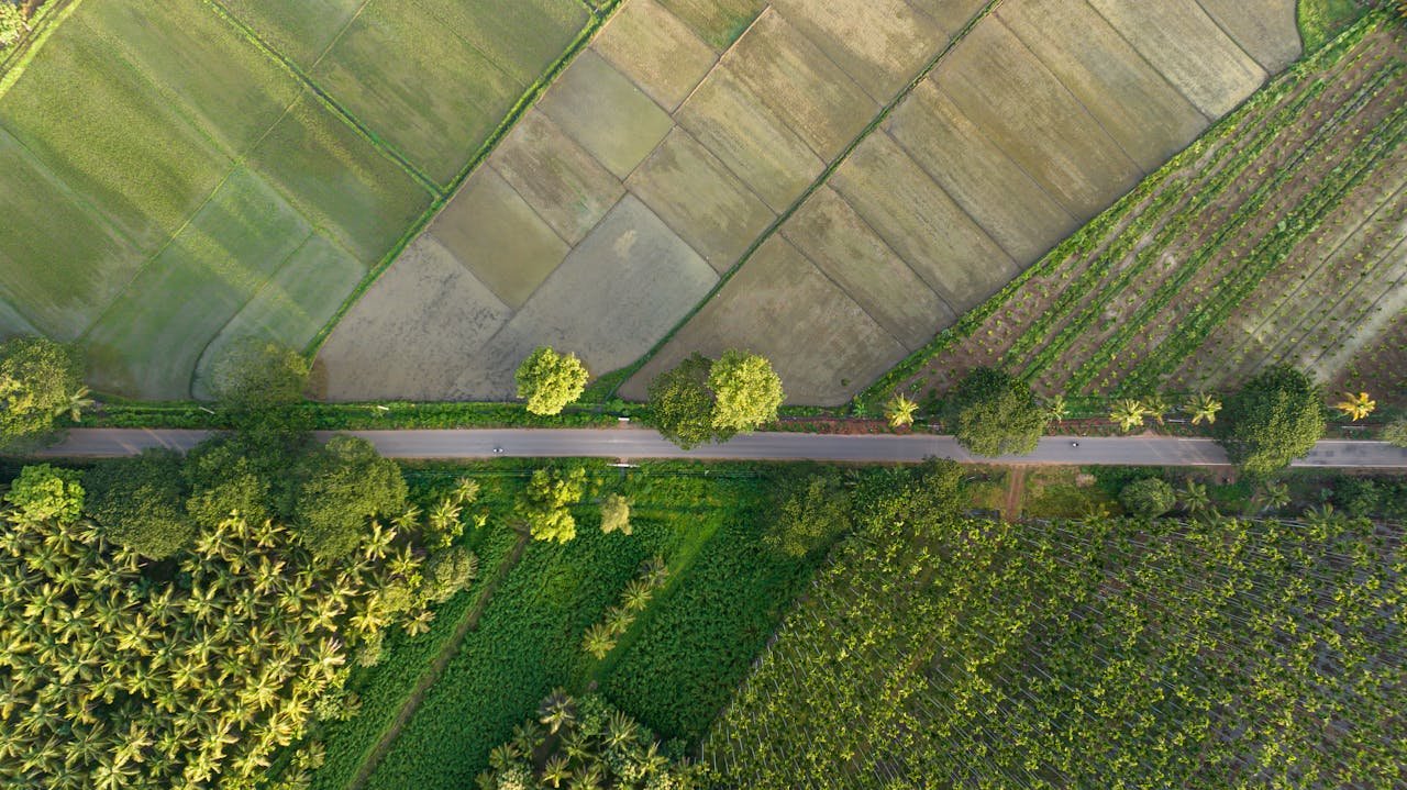 Read more about the article ΠΑΣΟΚ: Η χαμηλότερη προκαταβολή βασικής στην ιστορία εφαρμογής της ΚΑΠ στη χώρα μας