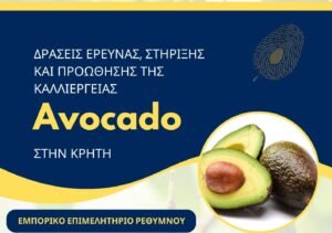 Read more about the article «Δράσεις Έρευνας, στήριξης και προώθησης της καλλιέργειας του AVOCADO στην Κρήτη»