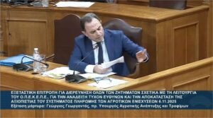 Read more about the article Ο Γ. Γεωργαντάς για τις μεταρρυθμίσεις της ΝΔ σε ΟΠΕΚΕΠΕ, ΟΣΔΕ