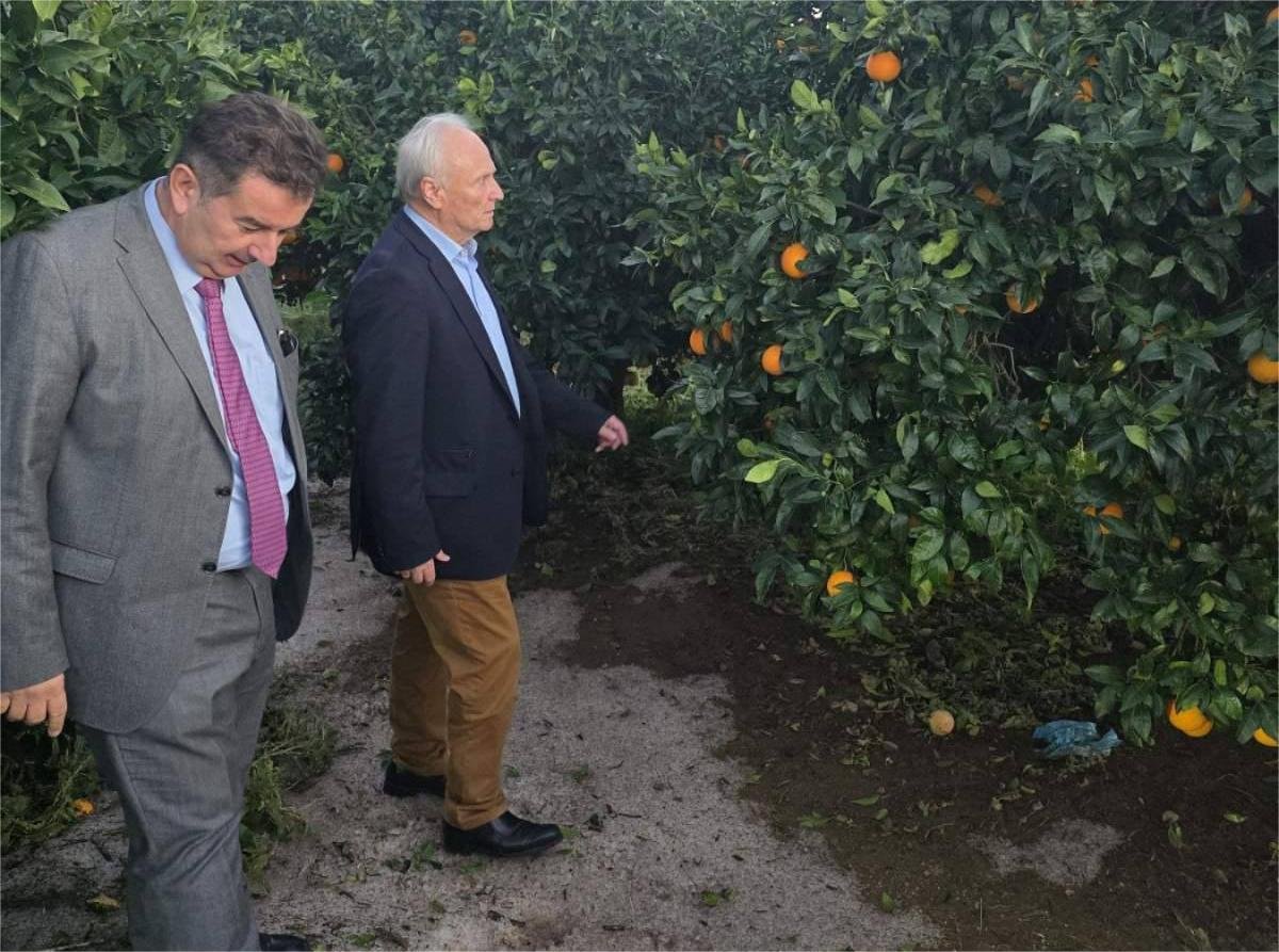 Read more about the article Ο Ανδριανός σε χαλαζόπληκτες περιοχές της Αργολίδας, άμεσα εκτιμήσεις