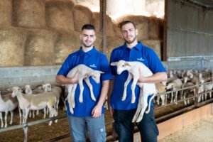 Read more about the article Η οικογένεια Αλεξάκη με παραγωγή 1 τόνο γάλα τη μέρα παντρεύει παράδοση και υψηλές αποδόσεις