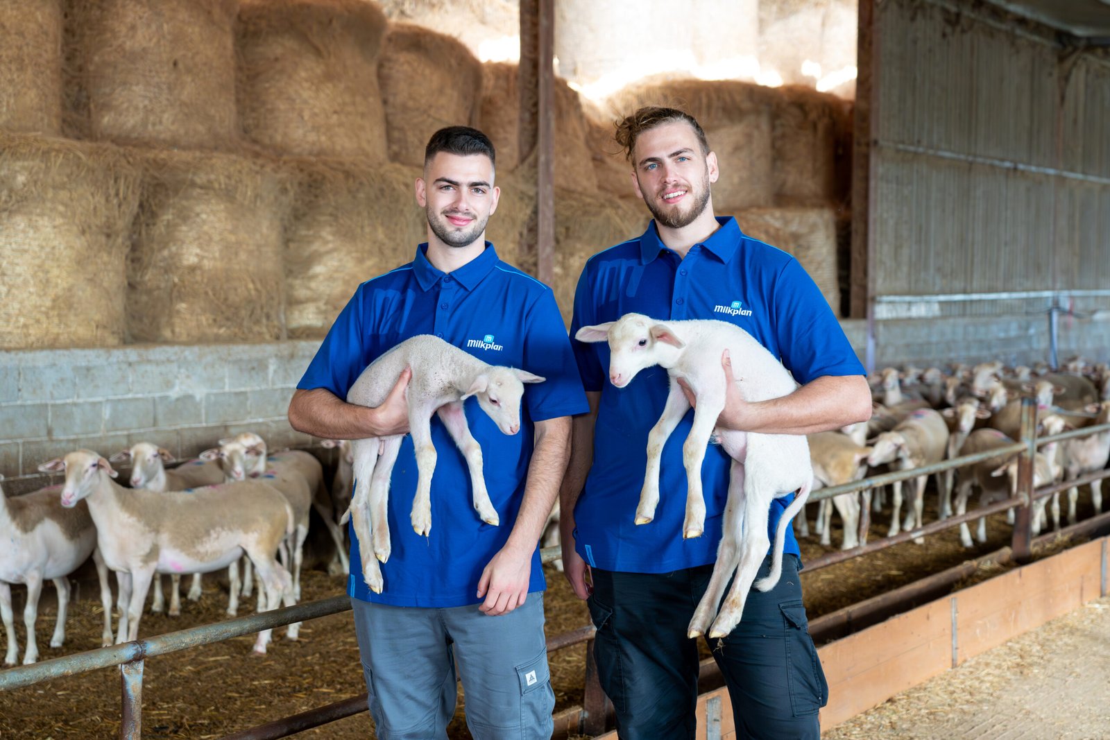 Read more about the article Η οικογένεια Αλεξάκη με παραγωγή 1 τόνο γάλα τη μέρα παντρεύει παράδοση και υψηλές αποδόσεις